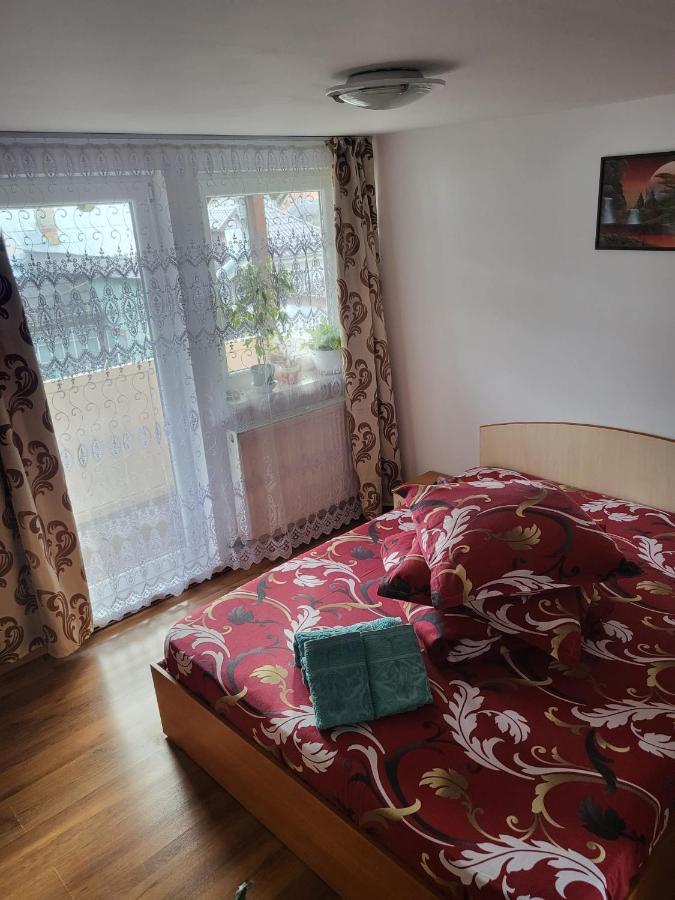 Pensiunea Lacramioara Vatra Dornei Exteriér fotografie